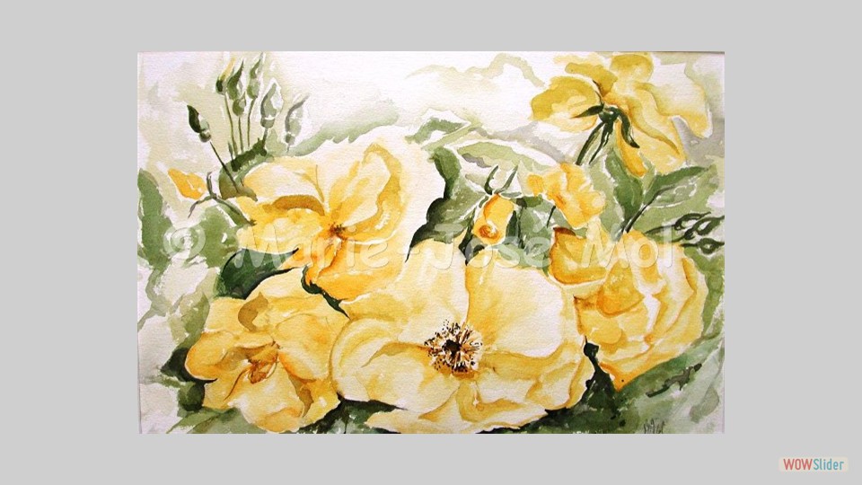 gele rozen 50x60