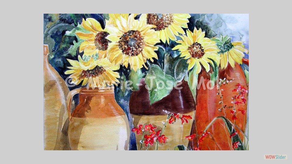 zonnebloemen in potten 60x80